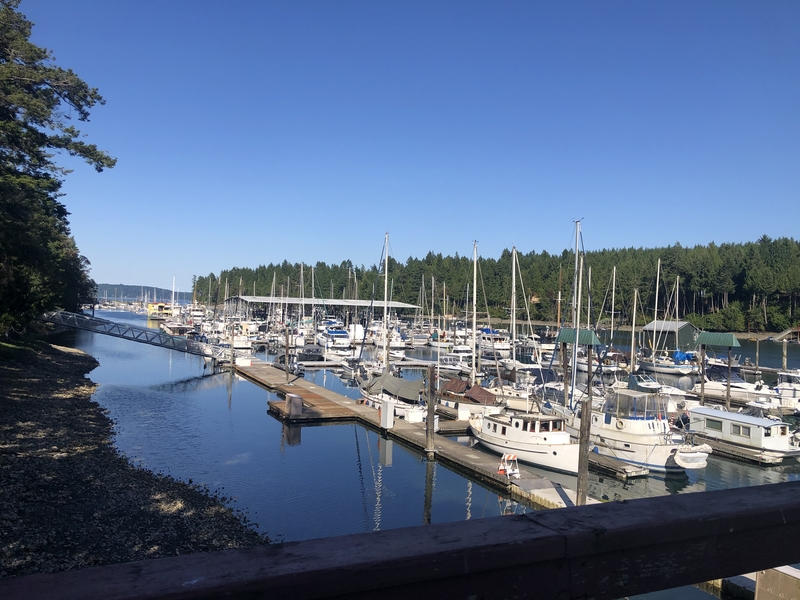 Liveaboard Slip For Sale Seattle, Washington SnagASlip