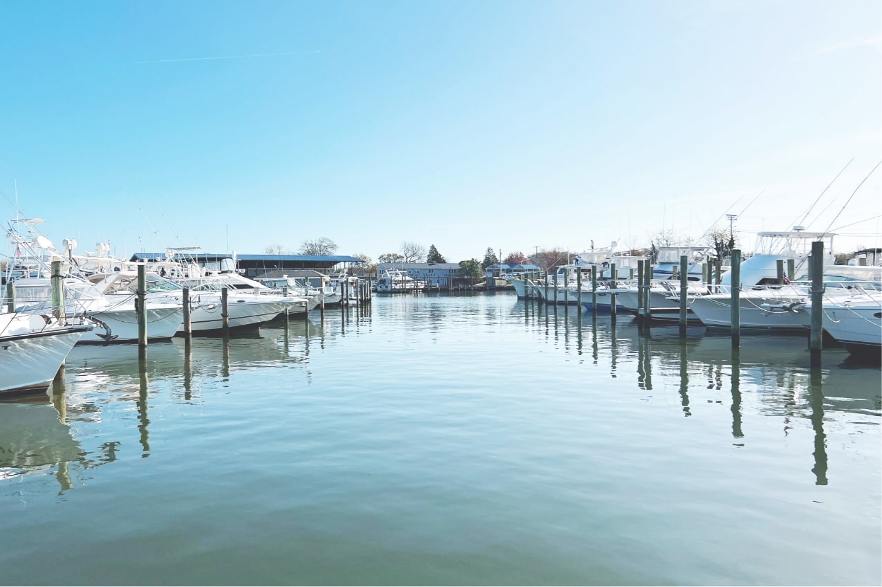 Anchor Yacht Basin Edgewater, MD SnagASlip