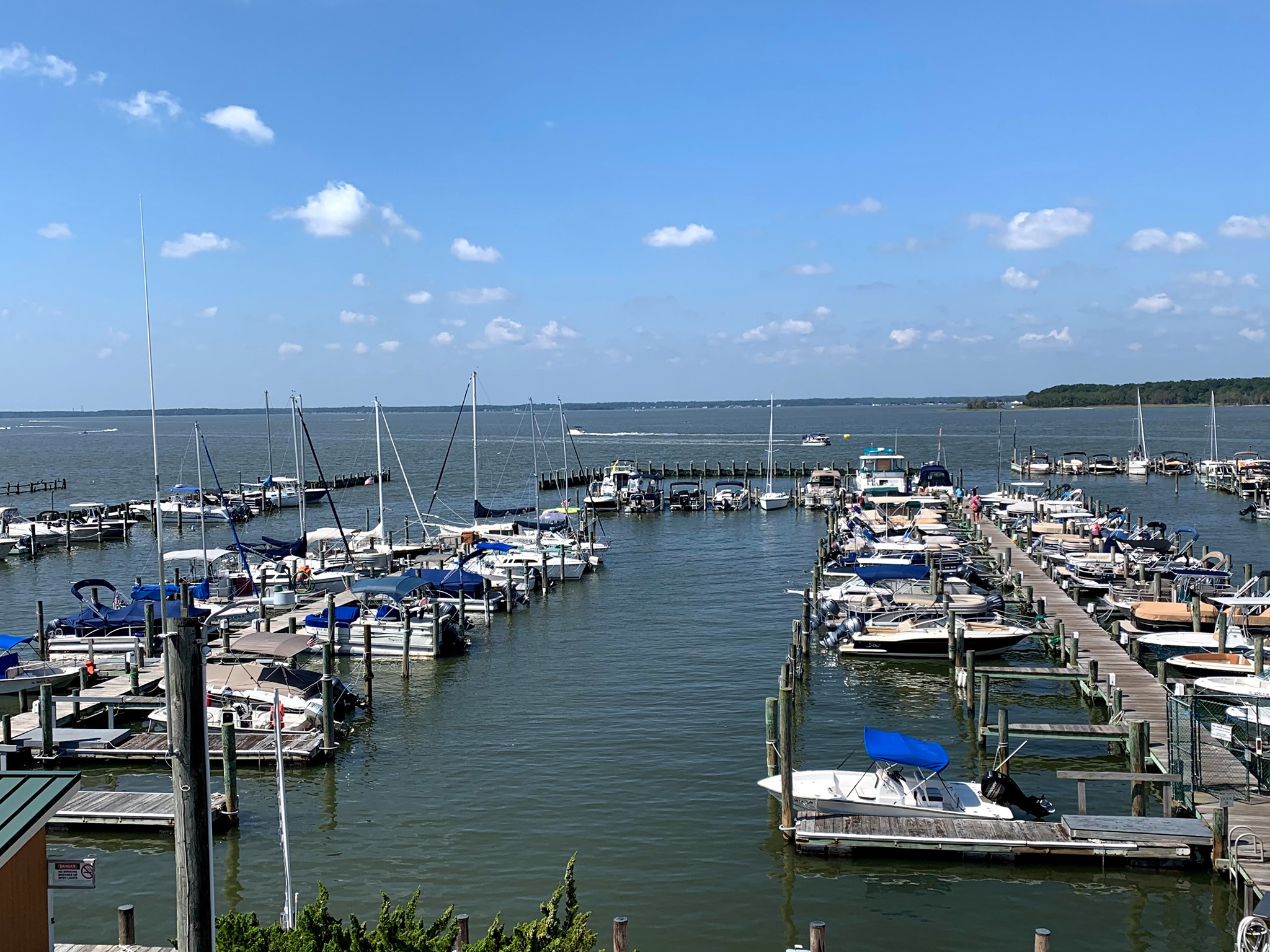 Rehoboth Bay Marina Dewey Beach, Delaware SnagASlip