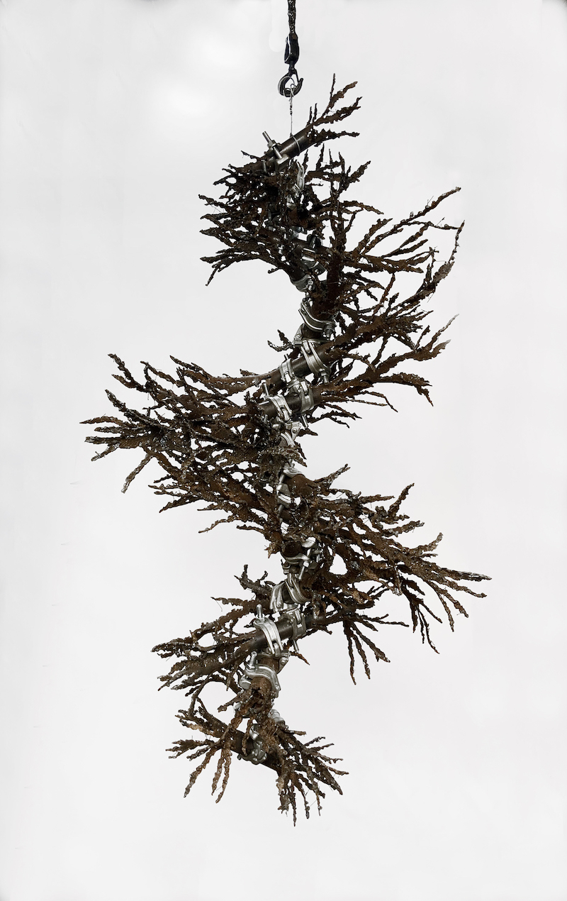 Ruth Benzacar Galería de Arte