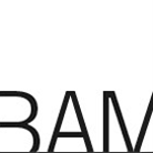 BAM Logo
