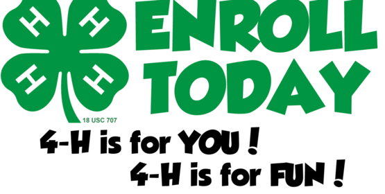 4-H enrollment night