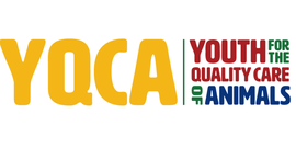 YQCA