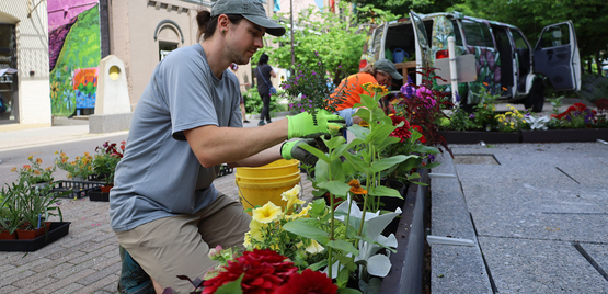 A person in a t-shirt and baseball cap plants flowers in a city park