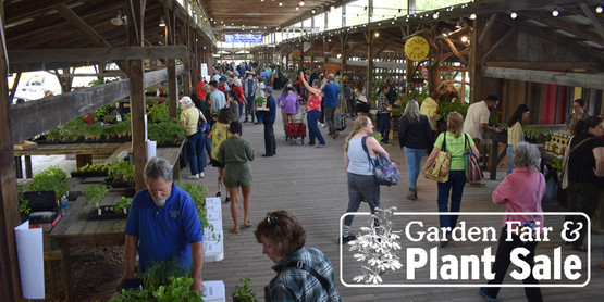View of the Farmers Market with people walking in the center and checking out plants in each booth.