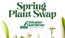 Spring plant swap 2025 version 2
