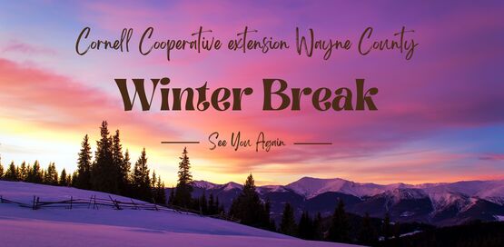 Observance of Winter Break