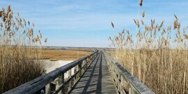 SEMC SFEC boardwalk (2)