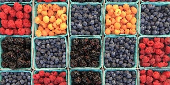 different berries in cartons
