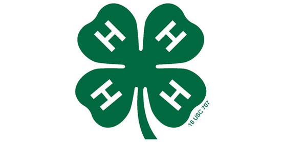 Official 4-H clover icon, sized smaller in relation to the field.