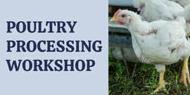 Poultry Processing Workshop web banner. Meat bird chicken. 