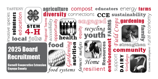 wordle graphic of words relating to cooperative extension and 2025 Board Member Recruitment