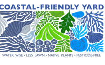 coastal-friendly yard rectangle