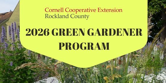 2026 GG Program Flyer