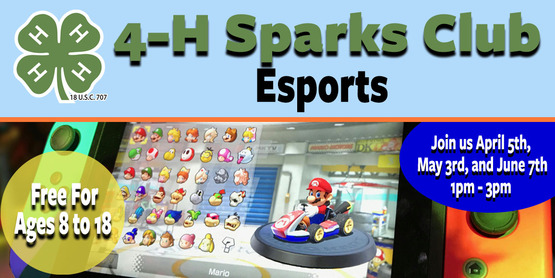 4H Sparks Club Esports