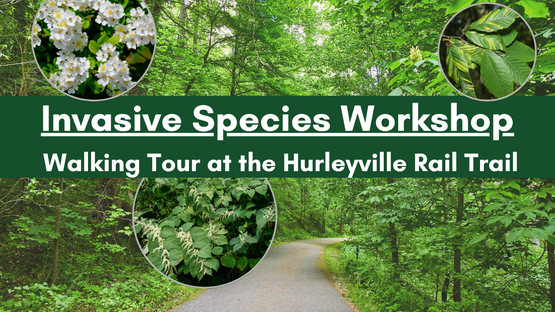 BANNER Invasives Rail Trail