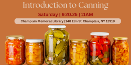 Introduction to Canning