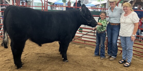 4-H Livestock Auction