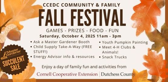 2025 CCEDC Fall Fest Header a