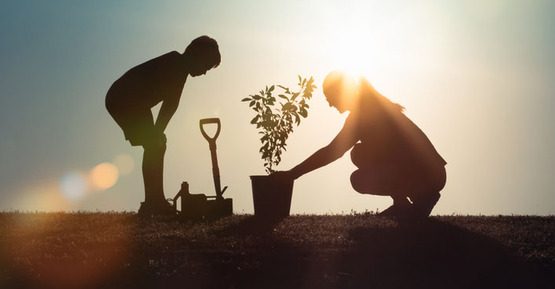 header spring parenting