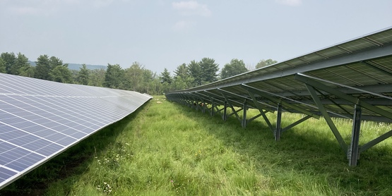 Sheep grazing is an increasingly popular way to combine agriculture with large-scale solar.