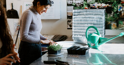 Microgreens