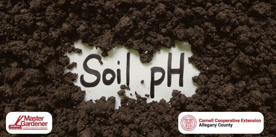 ph soil 