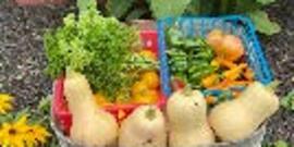 master gardener training