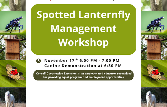 Spotted Lanternfly Workshop Image