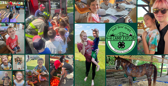 FLXGives 2026