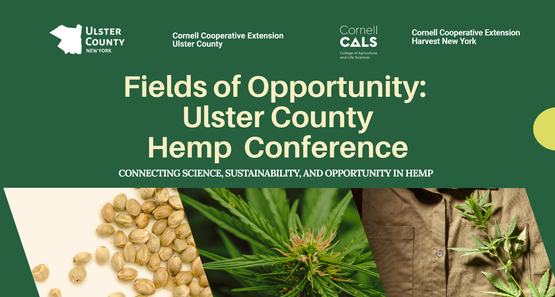 Hemp Conference