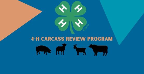 Carcass Program