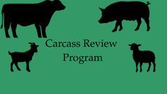carcass review