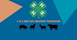 Carcass Program