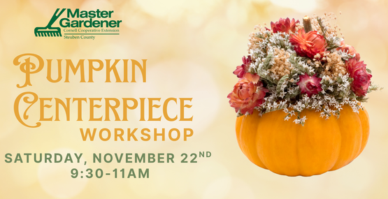Pumpkin centerpiece workshop 