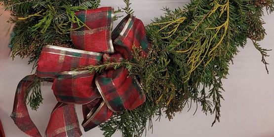 The Holiday Greens Workshop is FULL and attendees are reminded that our workshop will be at a new location this year - our CCE Wayne office in Newark - 1581 Route 88N, Newark.  For questions, call 315-331-8415.  