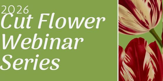 Cut Flower Webinar Series