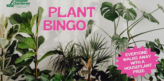 Plant Bingo event