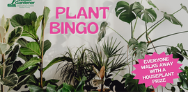 Plant Bingo event
