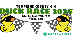 Duck Race Banner