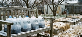 Seed starting in plastic gallon jugs.