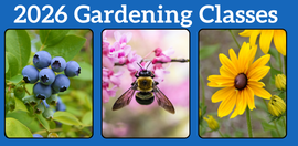 2026 Gardening Classses