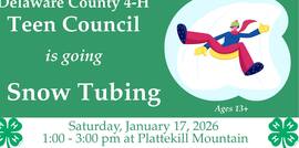 Teen Council Tubing