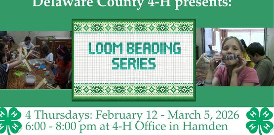 4-H Loom Beading