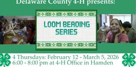 4-H Loom Beading