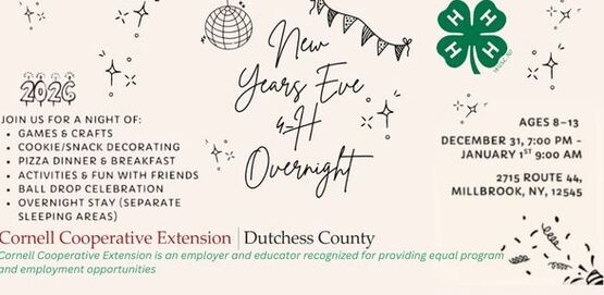 2025 4-h NYE Lock In