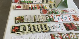 2024 Otsego Seed Swap