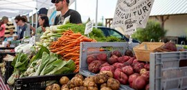 CAA multi-farm CSA in action