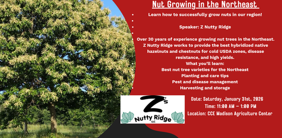Learn how to successfully grow nuts in our region! 