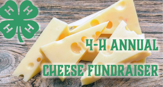 Annual Cheese Fundraiser